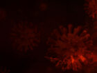 abstract wave of red glitter particles dust animation