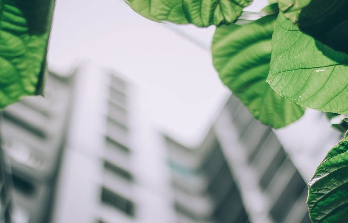 5 Ways to a Green Building