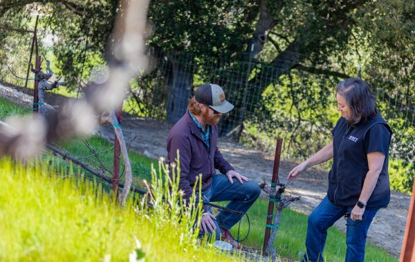 Winery Maintenance Checklist for Pre-Harvest Season