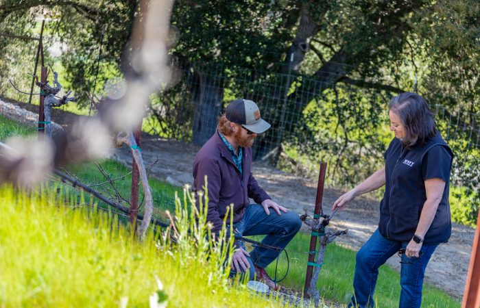 Winery Maintenance Checklist for Pre-Harvest Season