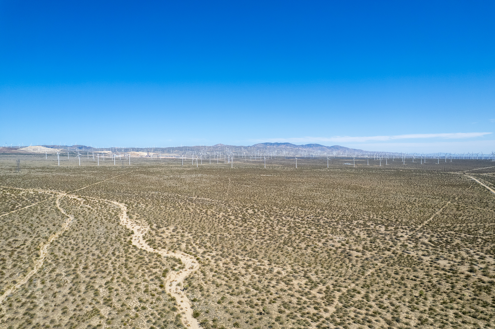 Powering Progress in California’s Alternative Energy Sector
